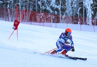 Областные соревнования собрали больше 50 горнолыжников в Южно-Сахалинске, Фото: 3