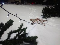 В Новотроицком упала ёлка, Фото: 1
