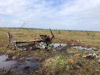 Поисковики выяснили неожиданные детали крушения Ту-2 на Сахалине, Фото: 1