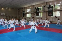 Спортсменки из Японии провели мастер-класс для сахалинских каратистов, Фото: 3