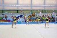 Около 200 юных гимнасток выступили в Новоалександровске, Фото: 7