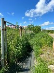 Сточные воды топят дальневосточный гектар, Фото: 3