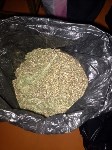 Гашишное масло и марихуану изъяли у наркоторговца на Сахалине, Фото: 6
