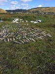 Более 600 кг кеты изъяли пограничники у браконьеров в Корсаковском районе, Фото: 4