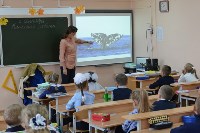 Сахалинские школьники придумают имена для серых китов, Фото: 1