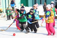 хоккей в валенках. начало 2015, Фото: 7