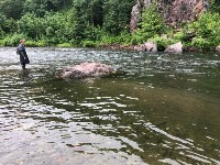 Экологи бьют тревогу: реки на северо-востоке Сахалина пусты, горбуши нет, Фото: 6