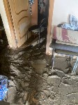 Дом отца-одиночки в Невельском районе утонул в грязи, Фото: 3