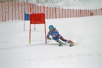 Борьба за кубки области и федерации горнолыжного спорта и сноуборда , Фото: 2