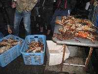 Подпольный цех по переработке морепродуктов ликвидирован в Макаровском районе, Фото: 13