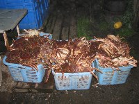 Подпольный цех по переработке морепродуктов ликвидирован в Макаровском районе, Фото: 1