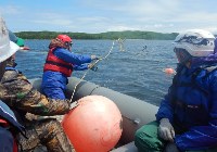 Юные сахалинцы завершили обучение по спасению морских животных, Фото: 1