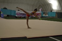 художественная гимнастика, Фото: 18