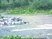 Фотоловушки установили в сахалинских лесах, чтобы ловить мусорщиков, Фото: 1