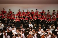 Детский симфонический оркестр Сахалина дал два концерта в Южной Корее , Фото: 25
