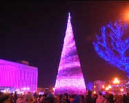 Главная новогодняя елка зажглась, Фото: 10