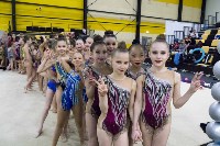 Юные сахалинские гимнастки поучаствовали в соревнованиях "Хрустальный лед", Фото: 9