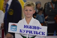 Чемпионат области по каратэ, Фото: 14