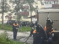 Кошку спасли при тушении пожара в Южно-Сахалинске, Фото: 6