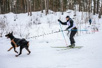 Сахалинцы впервые приняли участие в Чемпионате России по ездовому спорту, Фото: 8