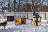 Специальная комиссия проверила, чем кормят собак в сахалинском приюте, Фото: 4
