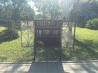 В сквере Крузенштерна в Южно-Сахалинске появился книжный шкаф, Фото: 3