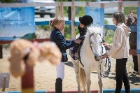 Соревнования по адаптивному конному спорту в Троицком - 2017, Фото: 12