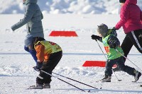 На Сахалине подвели итоги XXX Троицкого лыжного марафона, Фото: 14