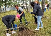 Молодые саженцы деревьев украсили территорию культурно-досугового центра в Корсакове, Фото: 3