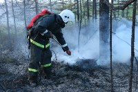 Пожар в районе Мицулевки полностью ликвидирован, Фото: 8