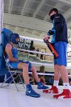 На Сахалине стартовало первенство ДФО по боксу среди юниоров, Фото: 3