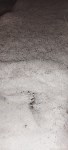 Северо-Курильск накрыло пеплом с вулкана Эбеко, Фото: 2