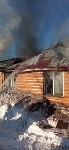 В СНТ "Солнышко" из огня спасли четыре кошки и одну собаку, Фото: 5
