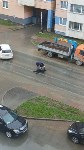 Южносахалинец пошатался по проезжей части, достал водителя и улёгся прямо на дороге , Фото: 4