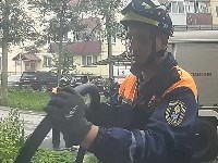 Кошку спасли при тушении пожара в Южно-Сахалинске, Фото: 7