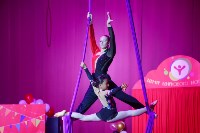 Центр циркового искусства завершил сезон большим шоу, Фото: 2