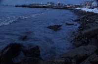 Загрязнение берега Невельска нефтепродуктами , Фото: 8