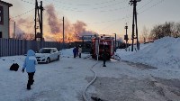 Подробности пожара в сахалинском приюте "Пёс и кот", Фото: 2