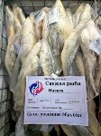 Морозы на Сахалине помогают рыбакам экономить свет, Фото: 5