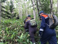 Четверых заблудившихся туристов нашли сахалинские спасатели, Фото: 2