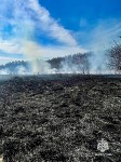 Более 20 гектаров выгорело: с начала года в Сахалинской области потушили 41 пал травы, Фото: 1