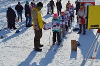 Соревнования по лыжным гонкам, Фото: 1