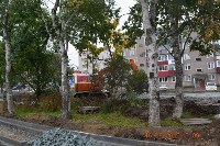 Строители уничтожают ценные деревья Южно-Сахалинска, Фото: 9