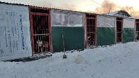 Подробности пожара в сахалинском приюте "Пёс и кот", Фото: 1