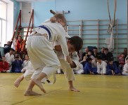 В Южно-Сахалинске пройдет детский командный турнир по дзюдо , Фото: 10