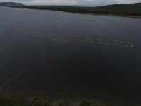 Дефицит кеты отмечен в реках Тунайчи, Фото: 5