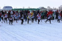 XXIV Троицкий лыжный марафон собрал более 600 участников, Фото: 27