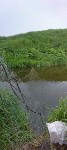 Сахалинец рассказал о "геноциде лососей" в Невельском районе, Фото: 4