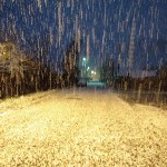 Первый снег выпал в Тымовском районе, Фото: 3