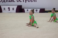 Открытый турнир по эстетической гимнастике прошел в Южно-Сахалинске, Фото: 7